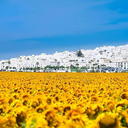Casa Centrica En Conil: Ideal Para Familias Y Parejas, 2 Hab, 2 Banos, Terraza Panoramica - Es-180-246 Villa Conil De La Frontera